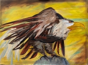 Eagle in the Wind - Oil on Canvas - 30x40" - $2300.00