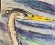 Heron on Water - Pastel - 10x7" - - $700.00